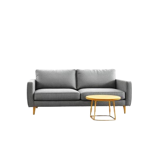 Furniture Showrooms